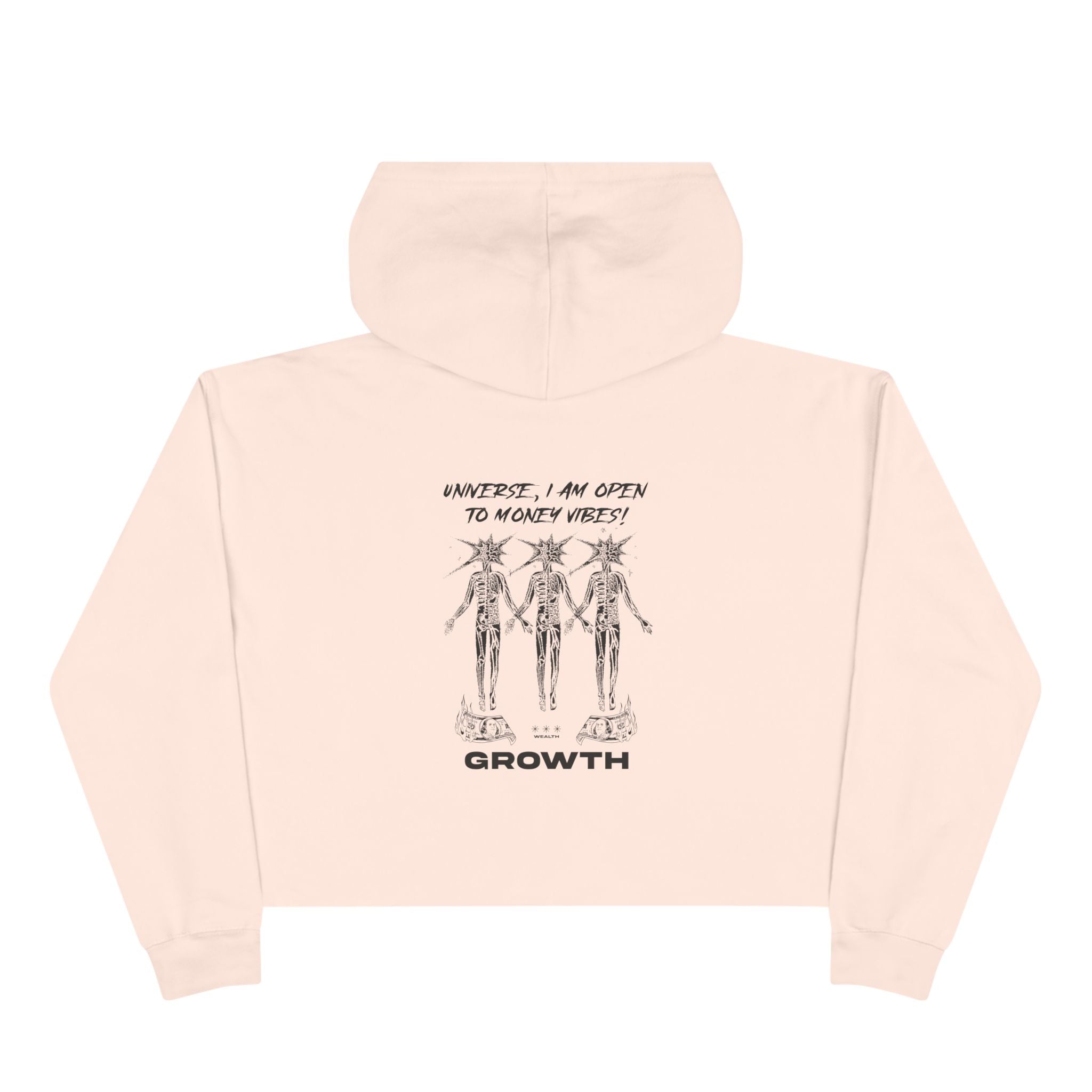 Universe,I Am Open To Money Vibes Unisex Crop Hoodie