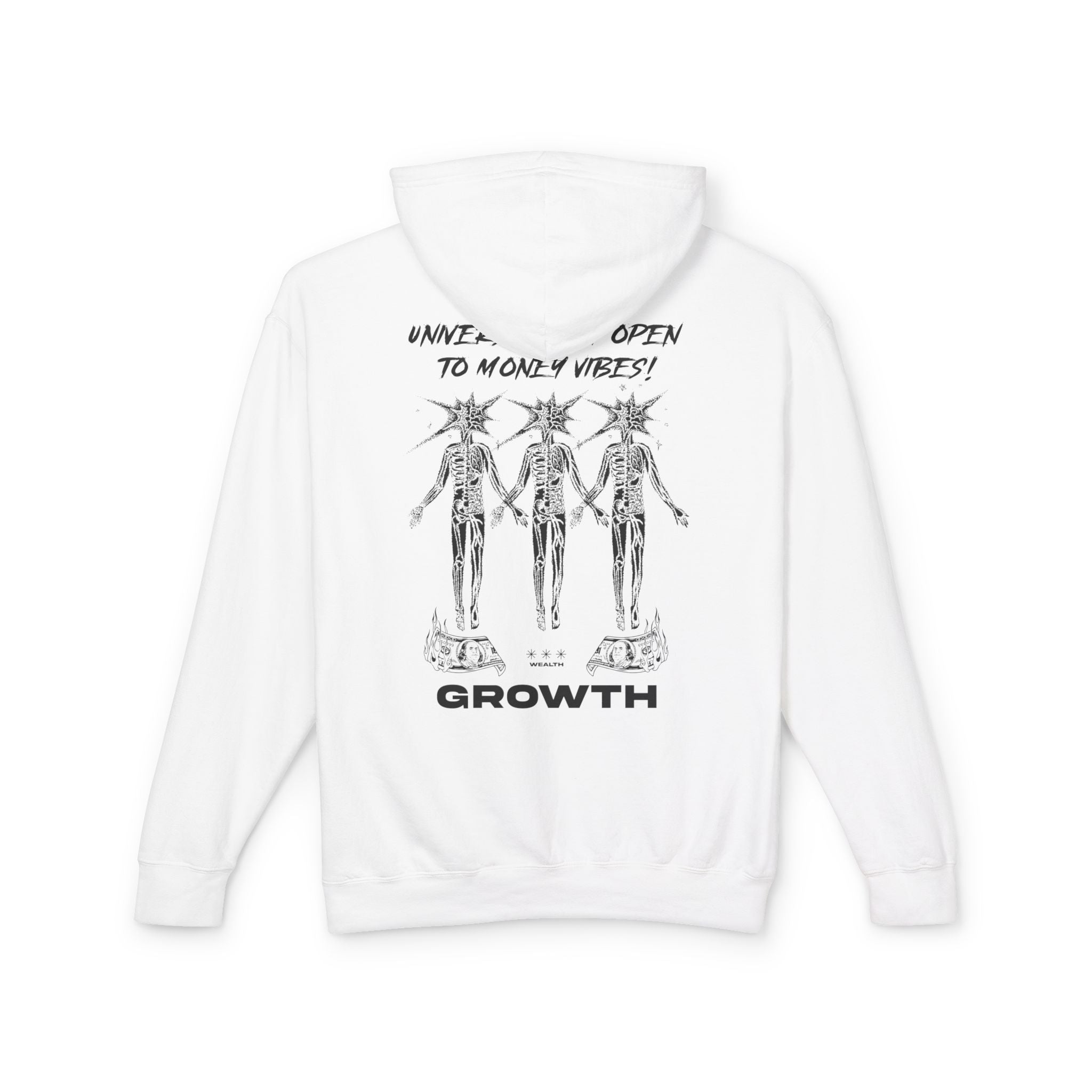 Universe, I Am Open to Money Vibes Hooded Sweatshirt