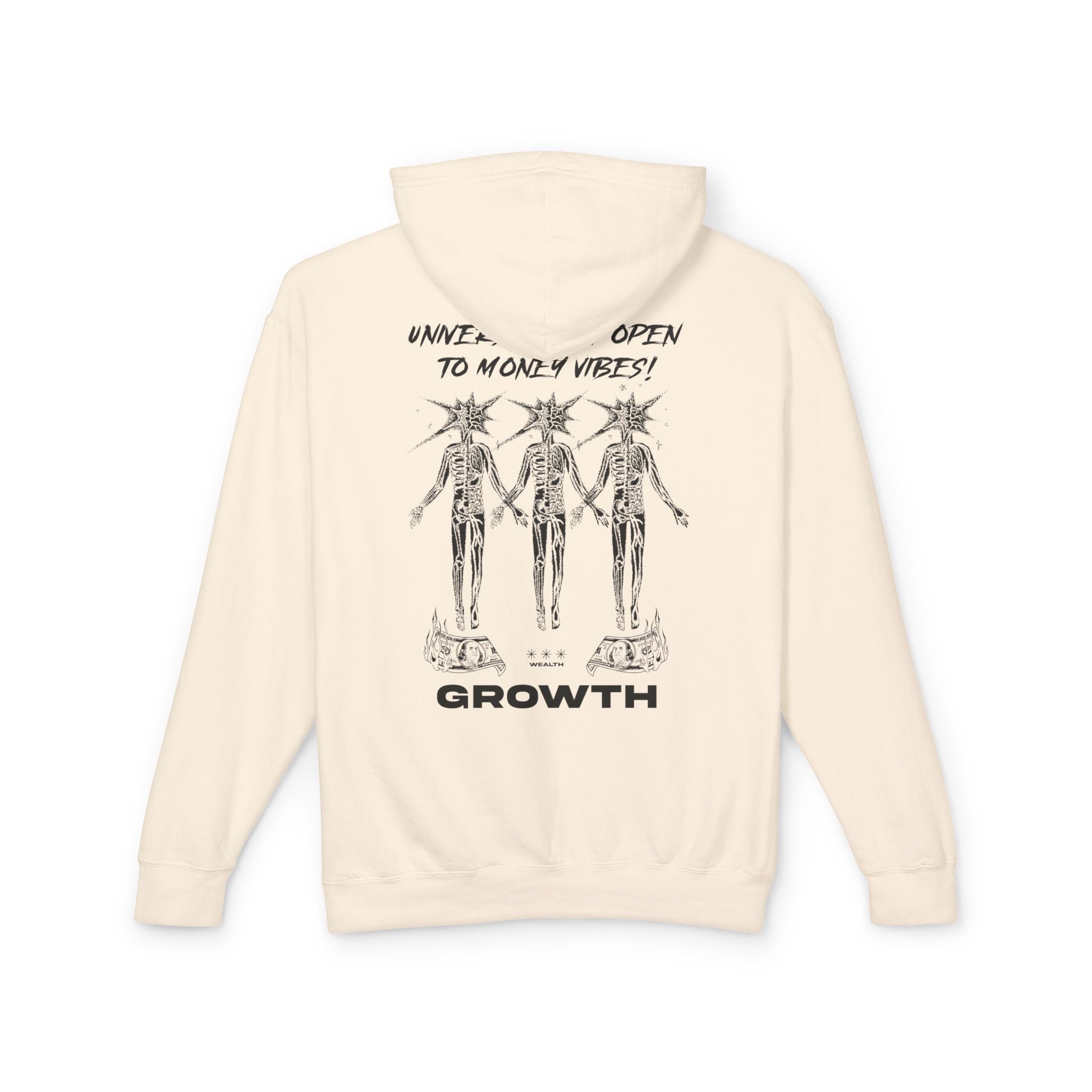 Universe, I Am Open to Money Vibes Hooded Sweatshirt